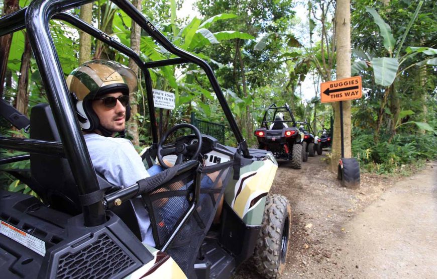 Jungle Buggies Experience by Mason Adventures