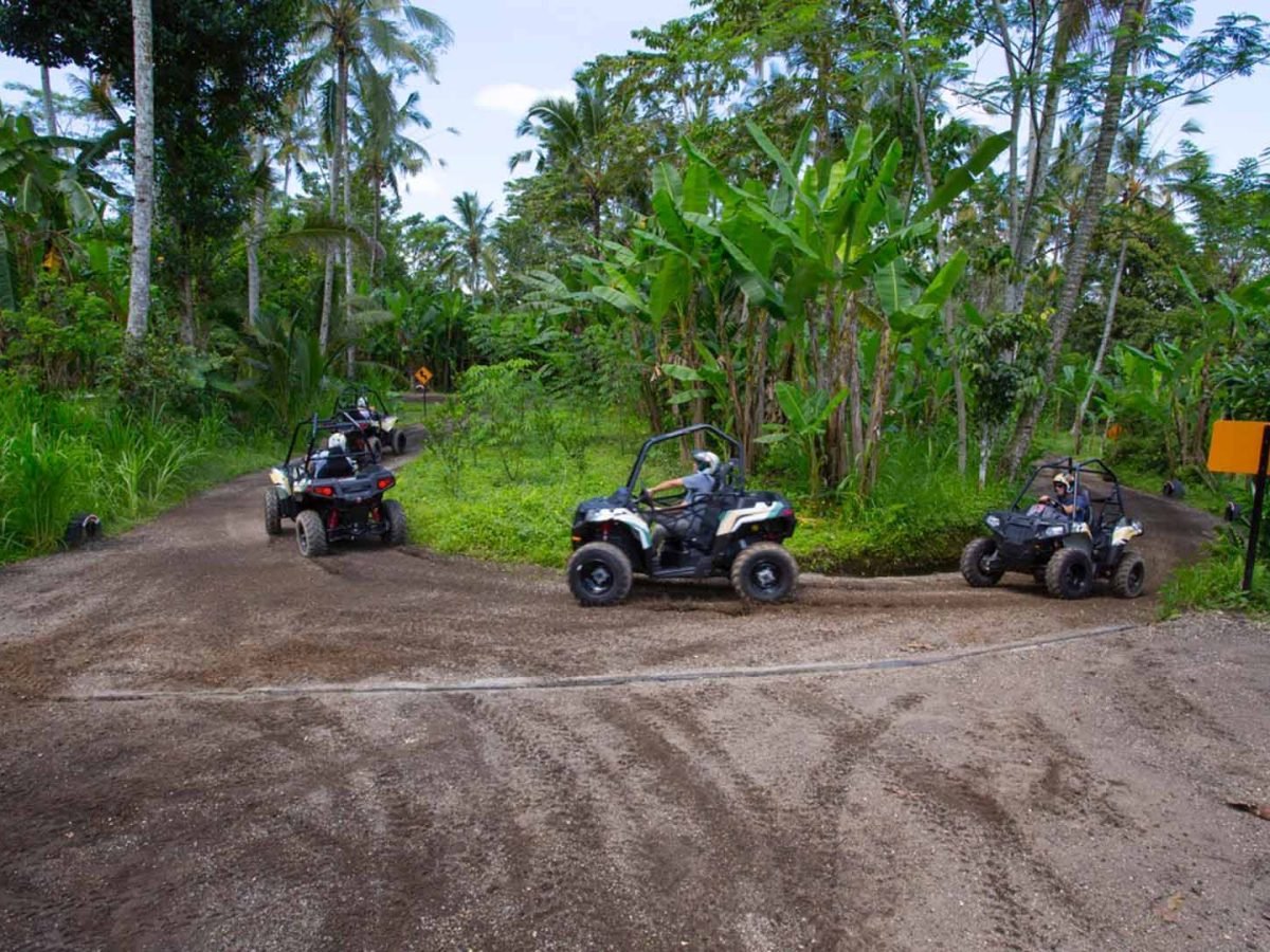 Jungle Buggy by mason 9 - Luxury Bali Tours and Travel