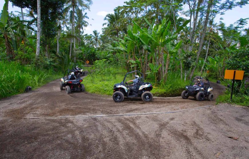 Jungle Buggies Experience by Mason Adventures