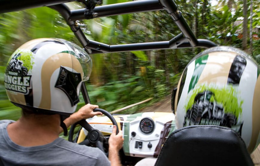 Jungle Buggies Experience by Mason Adventures