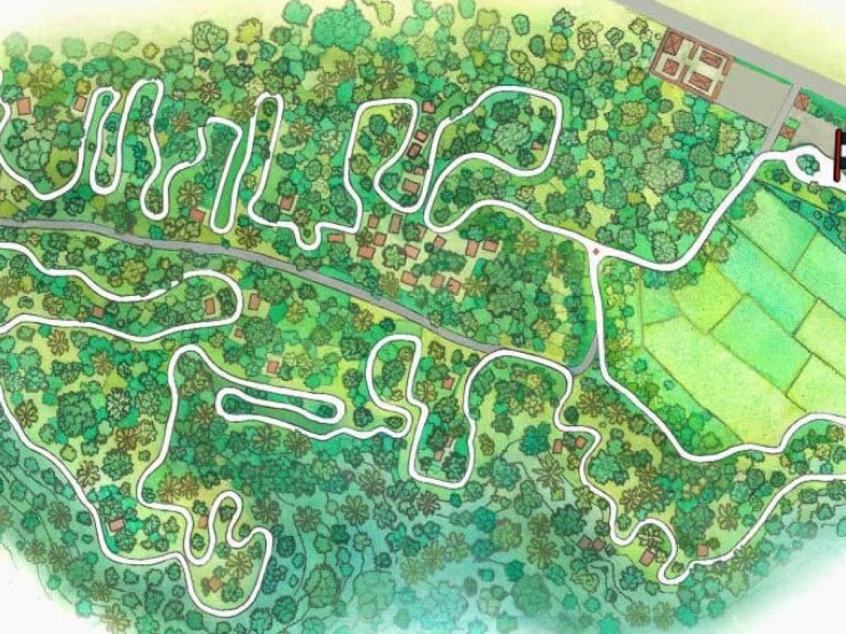Jungle Buggies by Mason Adventure