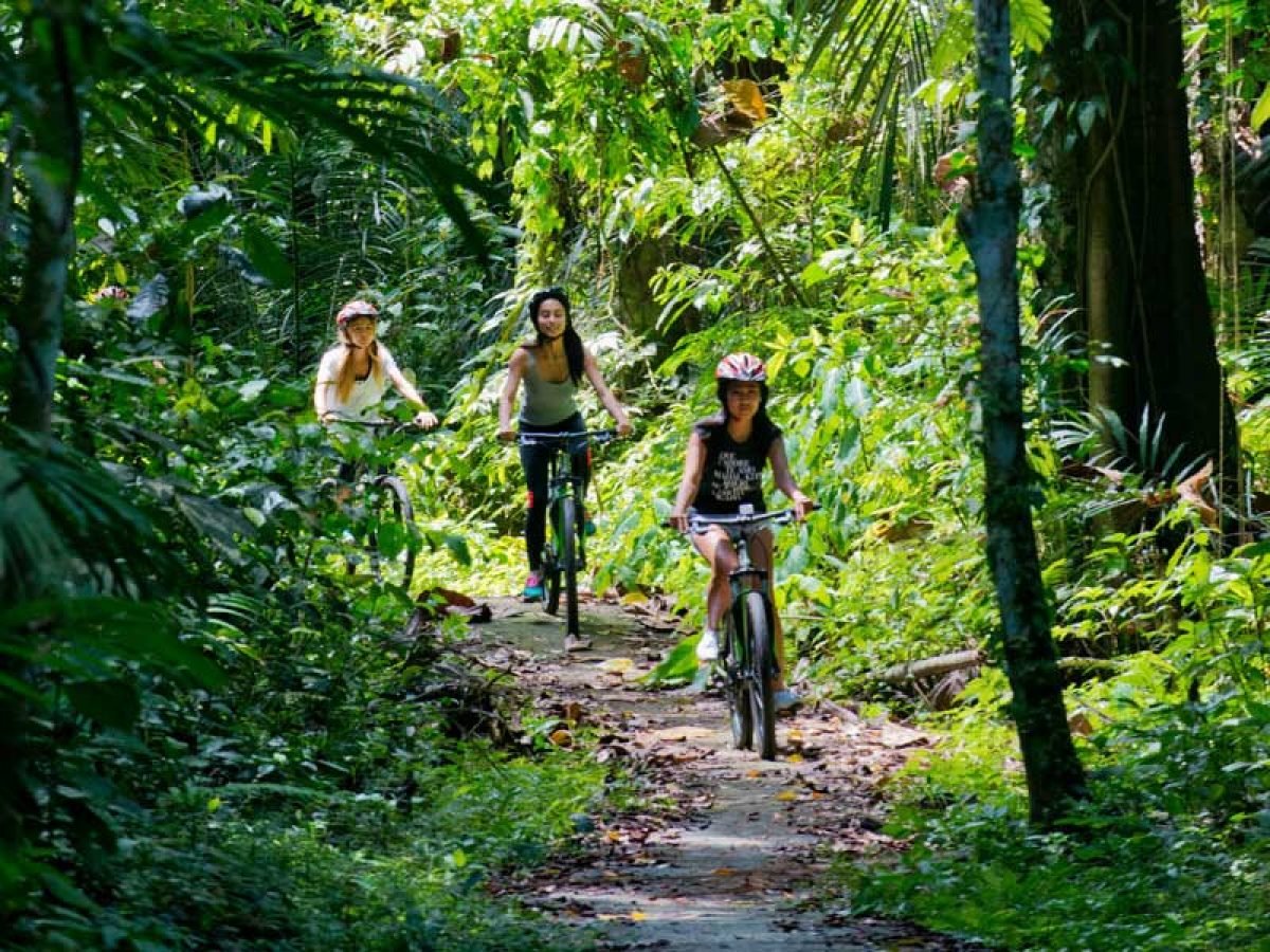 Ubud Cycling Tour