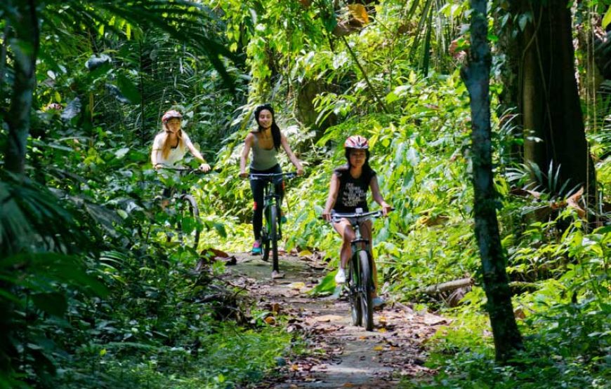 Cycling Tour in Ubud