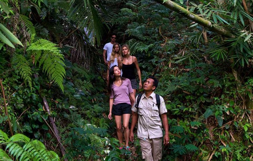 Tropical Trekking by Mason Adventures