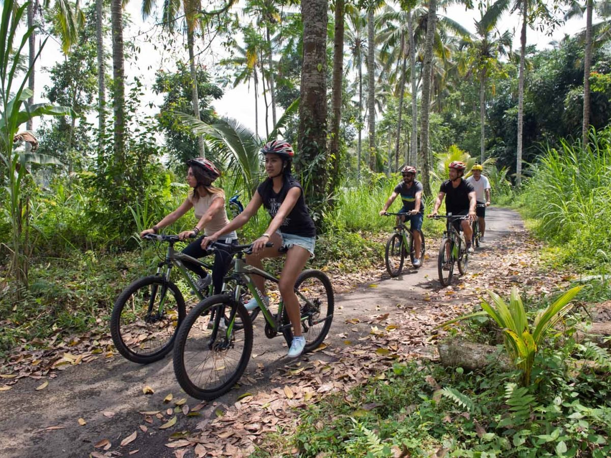 Mountain Cycling by Mason Adventures