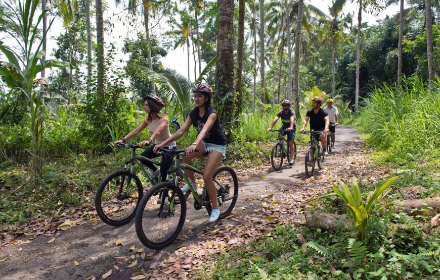 Cycling Tour in Ubud