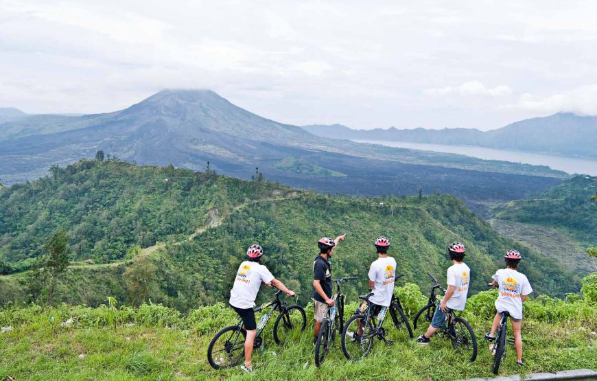 Cycling Tour in Ubud