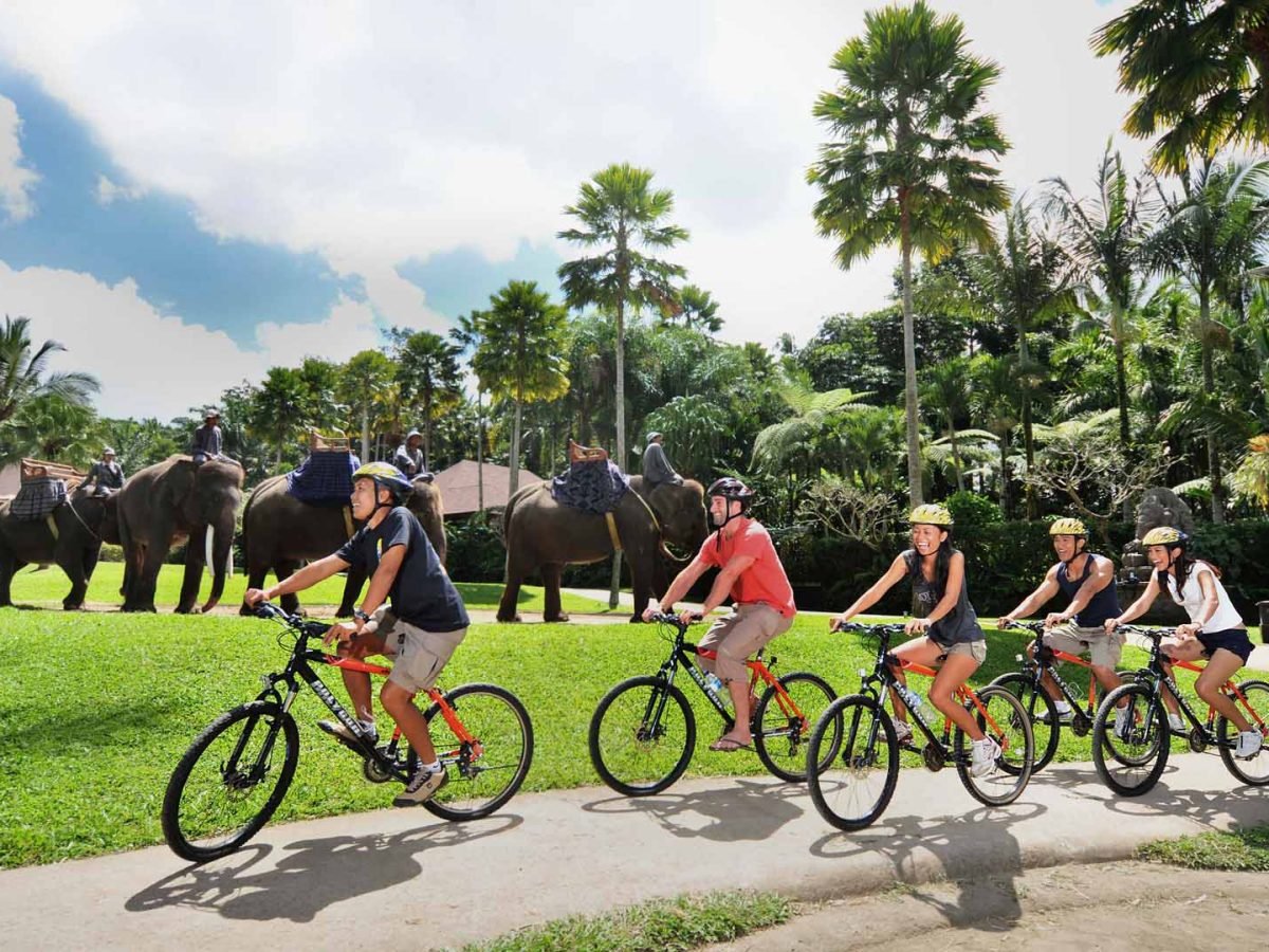 Mountain Cycling by Mason Adventures