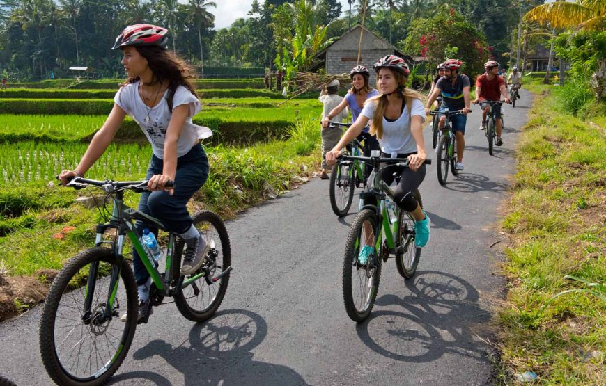 Cycling Tour in Ubud