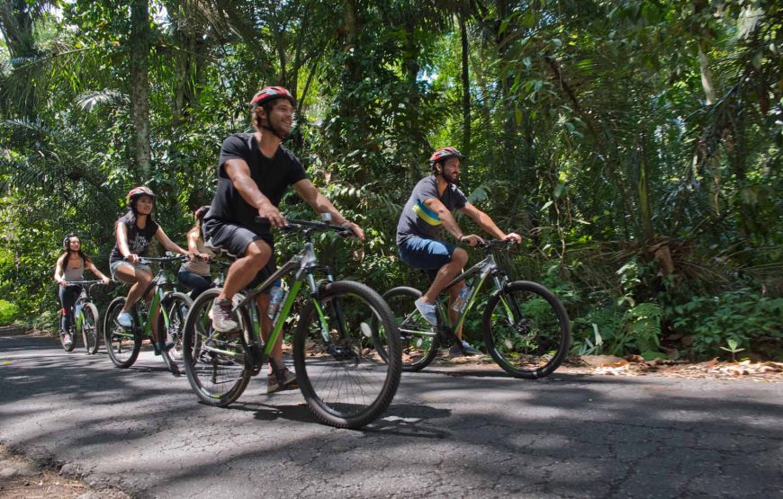 Cycling Tour in Ubud