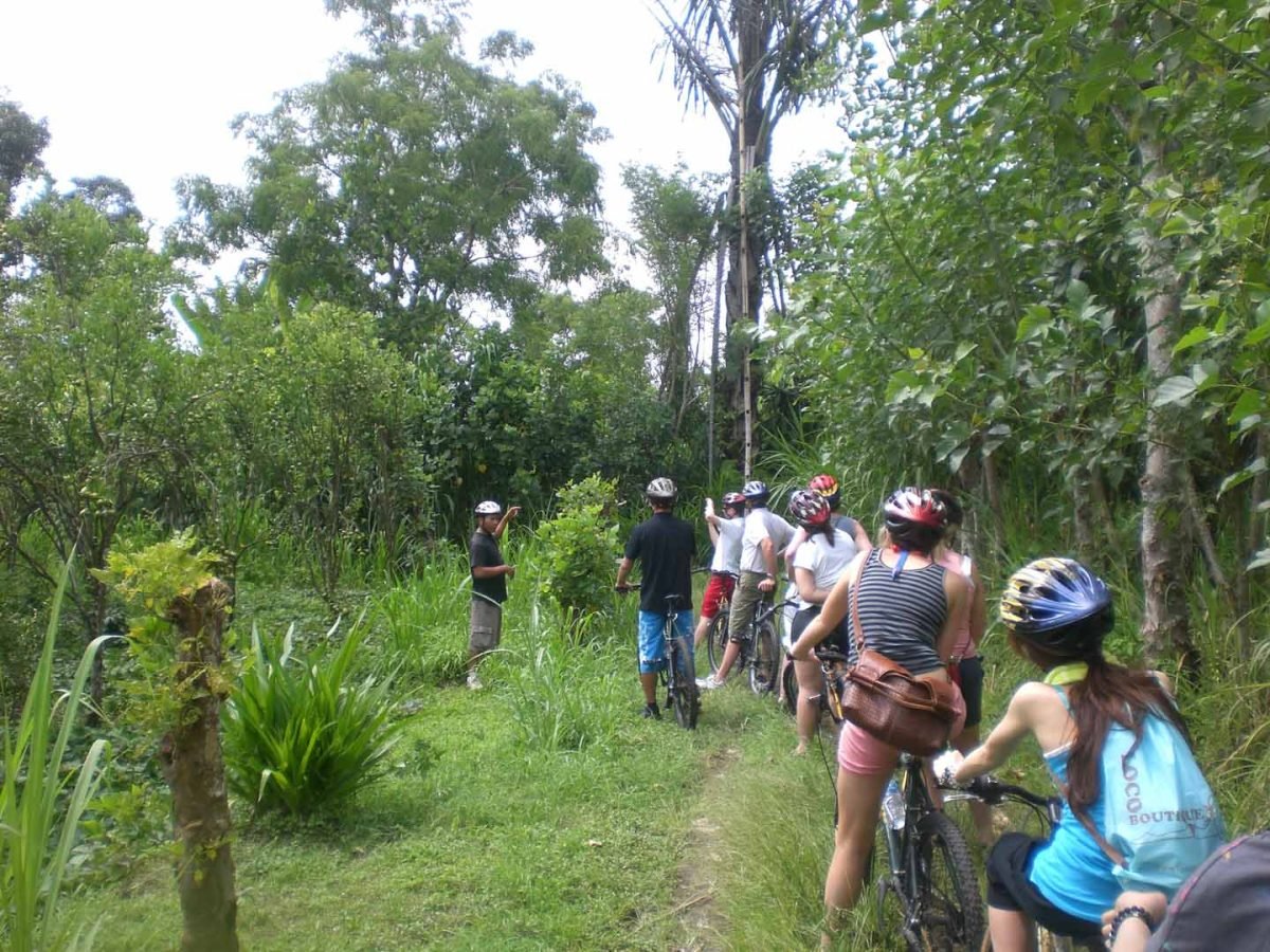 Mountain Cycling by Mason Adventures