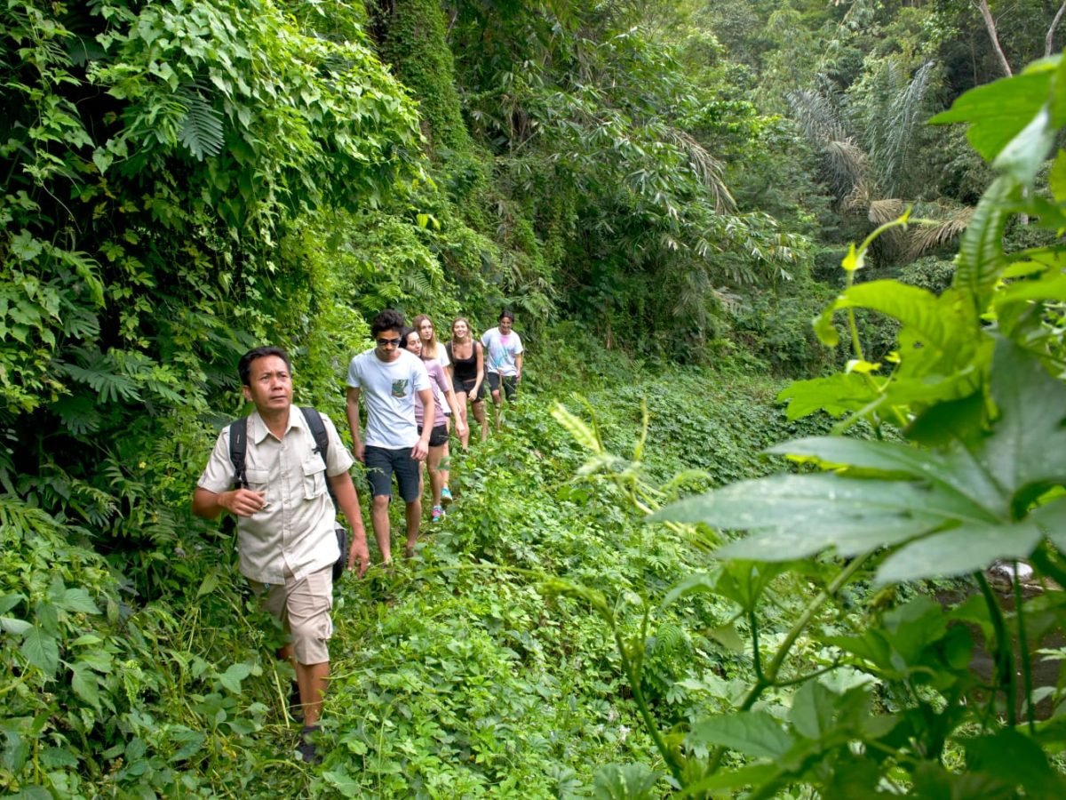 Tropical Trekking by Mason Adventures