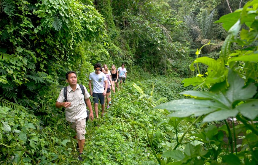 Tropical Trekking by Mason Adventures