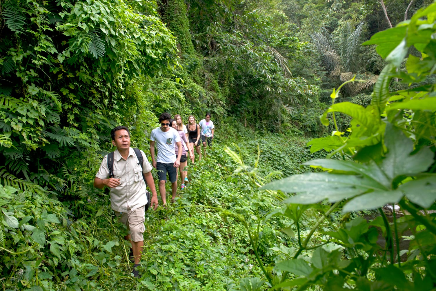 Tropical Trekking Tour Morning Session