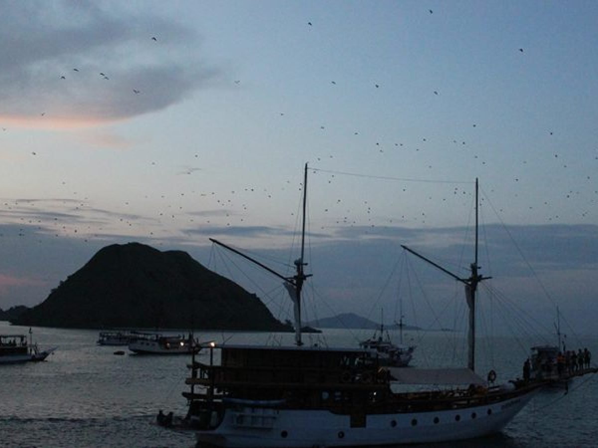 Komodo Island Tour – 2D1N Onboard Adventure