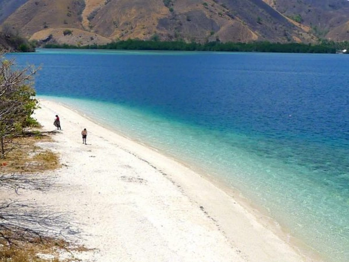 Komodo Island Tour – 2D1N Onboard Adventure