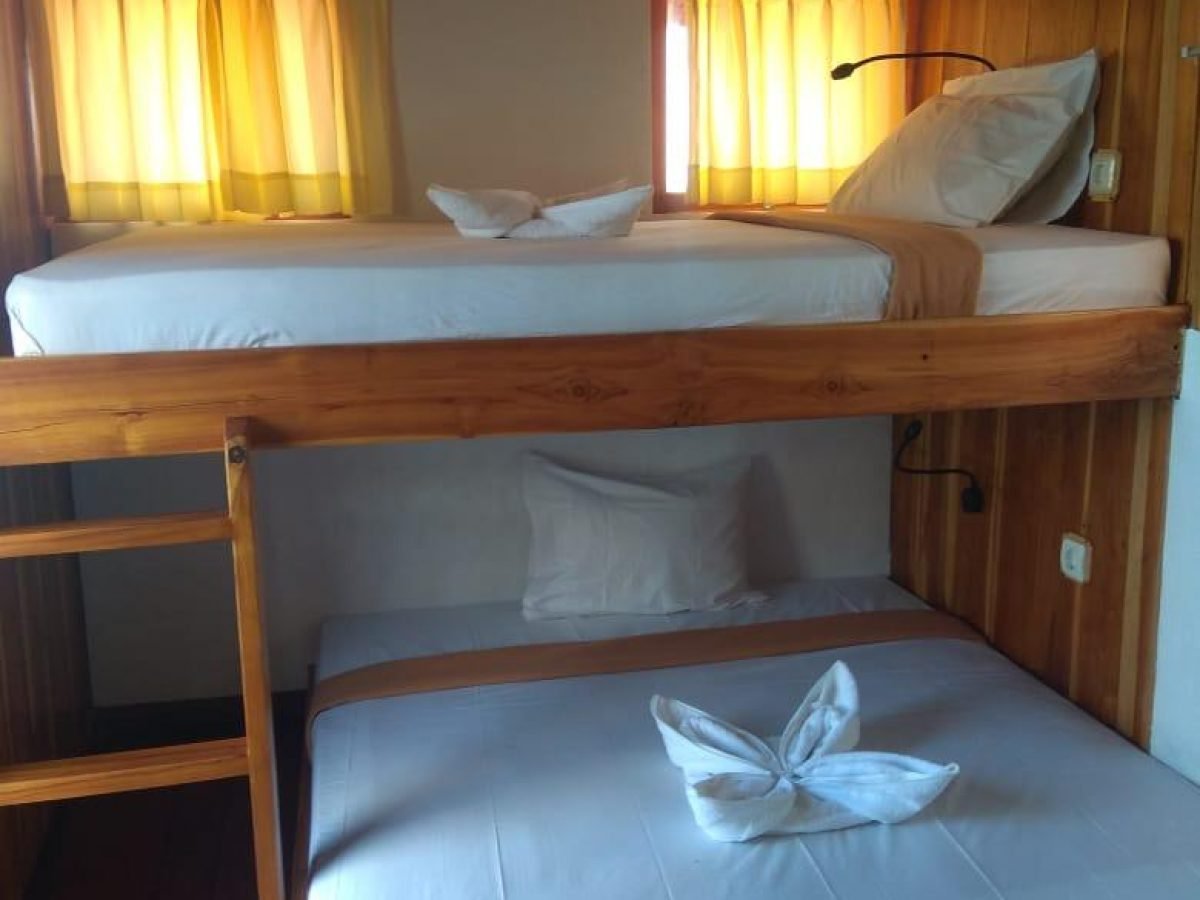Komodo Island Tour – 2D1N Onboard Adventure