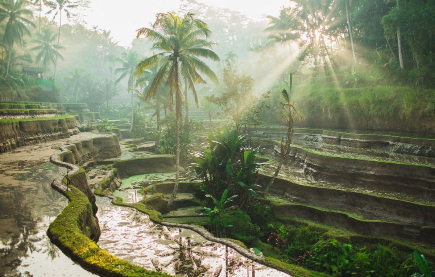 Bali’s Cultural Tapestry: A Day of Art, Crafts, and Nature