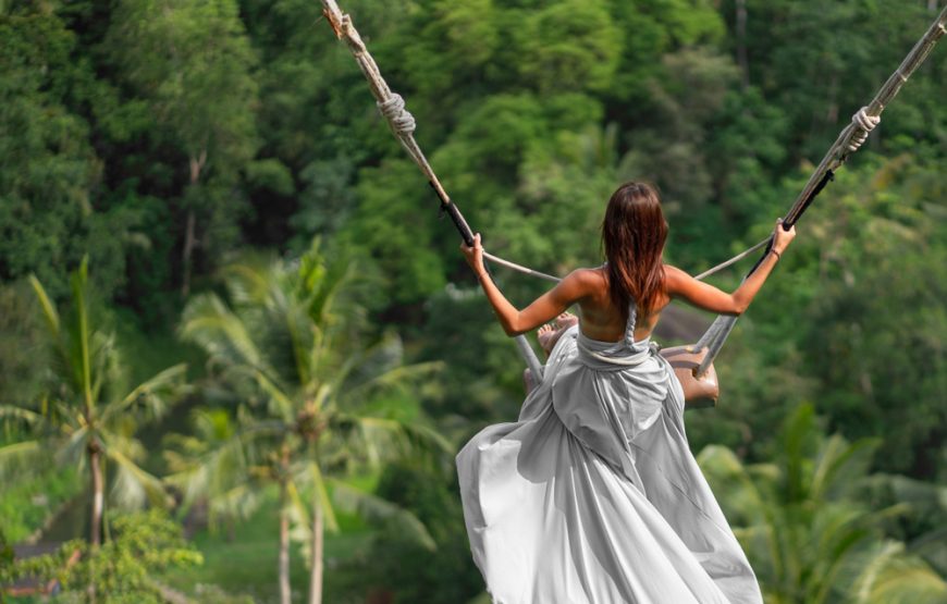 Ubud Bali Highlights: Monkeys, Rice Fields, and Thrilling Swings