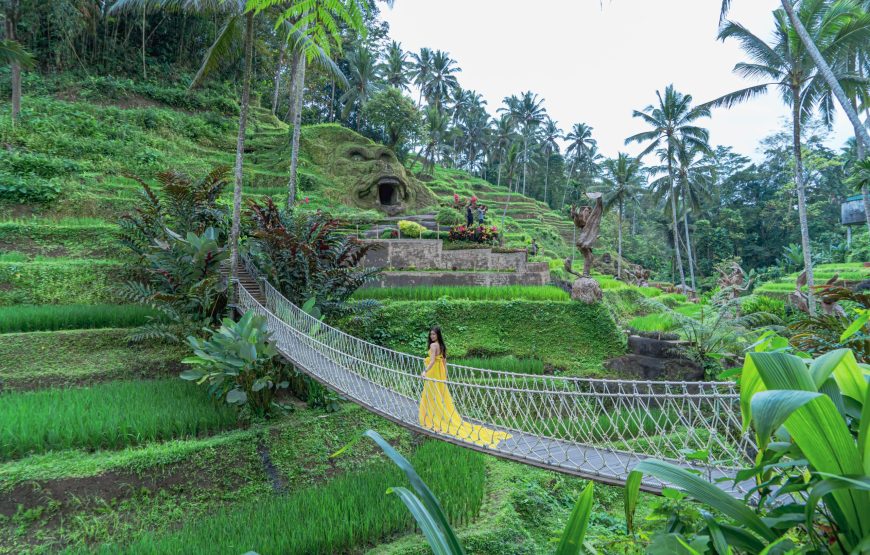 Bali’s Cultural and Natural Enchantment