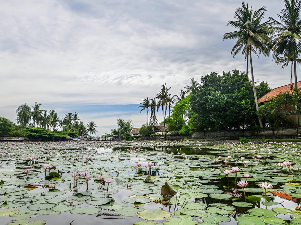Bali’s Cultural Odyssey: Lempuyang, Tirta Gangga, Candi Dasa and Taman Ujung