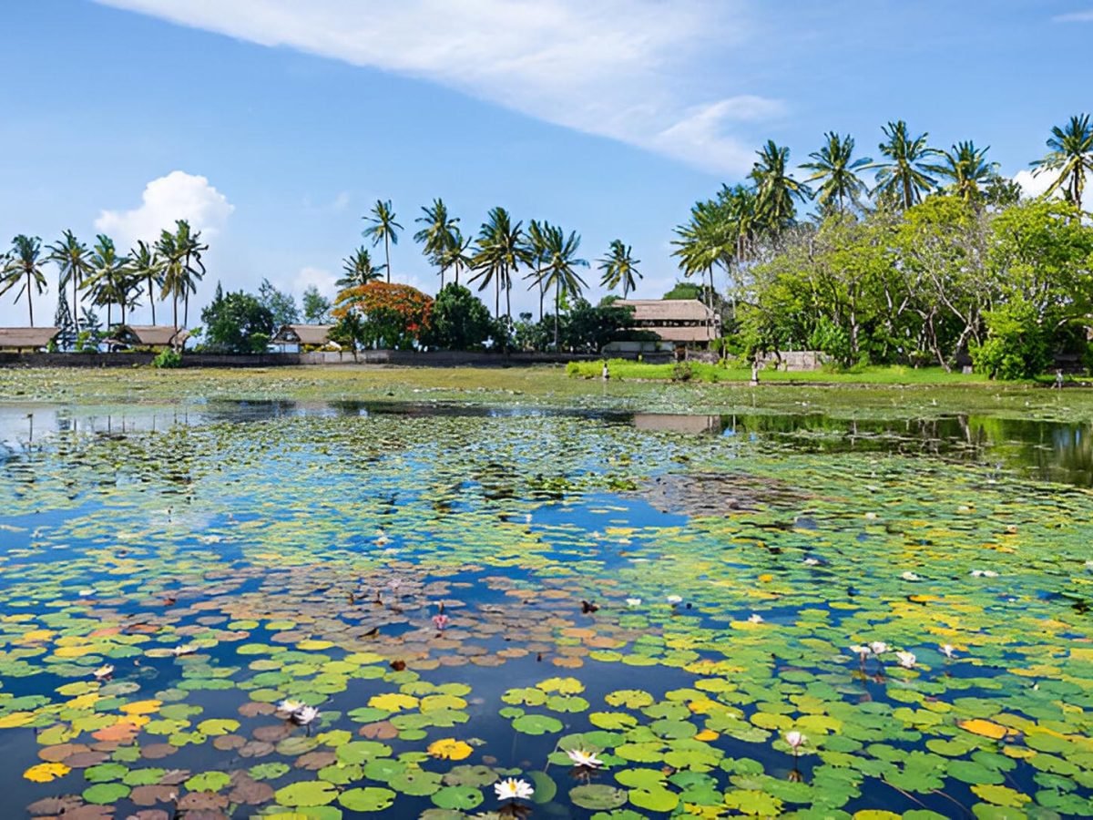 Bali’s Cultural Odyssey: Lempuyang, Tirta Gangga, Candi Dasa and Taman Ujung