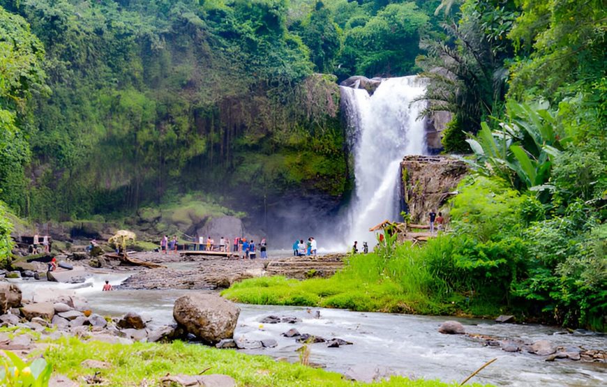 Ubud Bali Highlights: Monkeys, Rice Fields, and Thrilling Swings