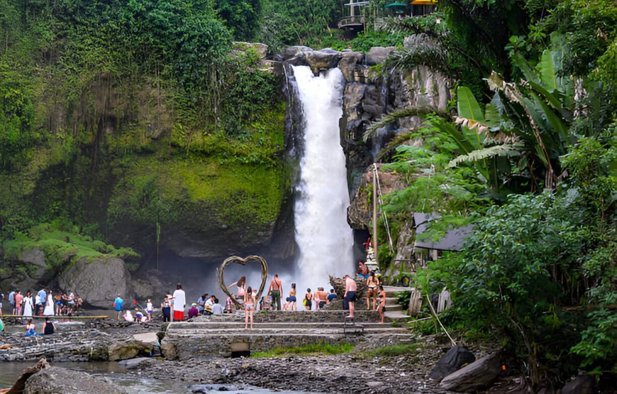 Ubud Bali Highlights: Monkeys, Rice Fields, and Thrilling Swings