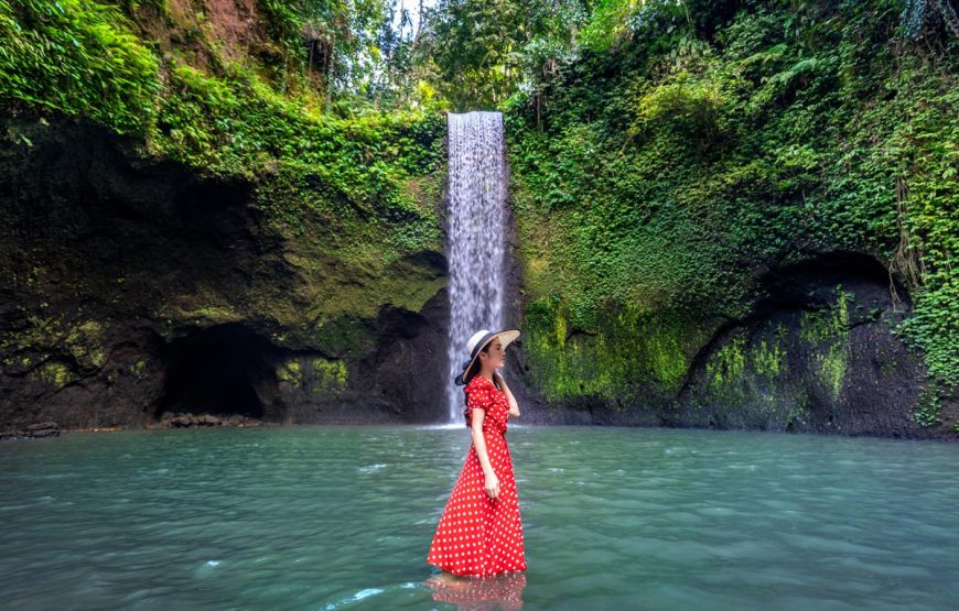 Bali’s Hidden Waterfalls: A Day of Tranquility