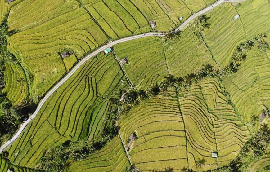 Bali’s Scenic Trilogy: Ulun Danu, Jatiluwih, and Tanah Lot