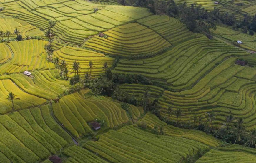 Sacred Temples of Bali Tour