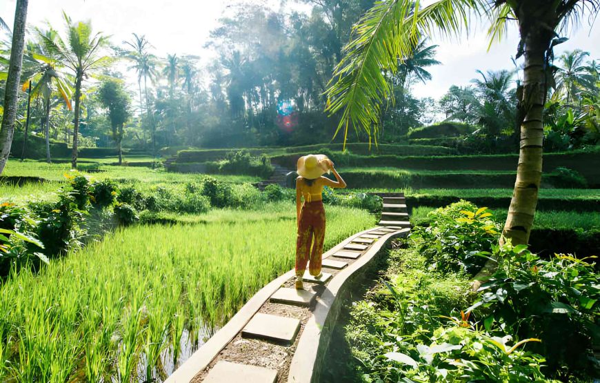 Bali’s Hidden Waterfalls: A Day of Tranquility