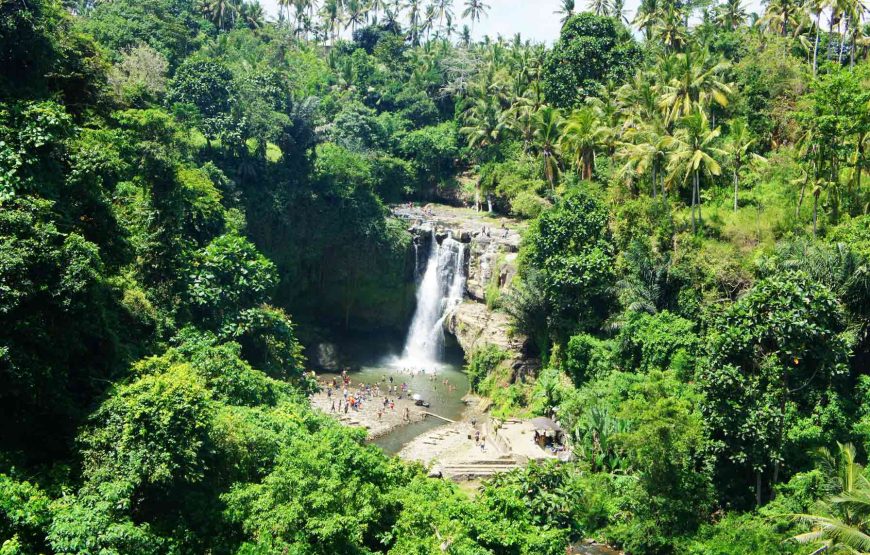 Bali’s Hidden Waterfalls: A Day of Tranquility