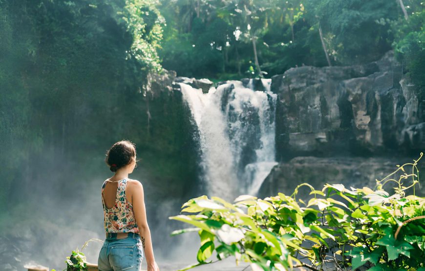 Banyumala Waterfall & Iconic Ulun Danu Temple Journey