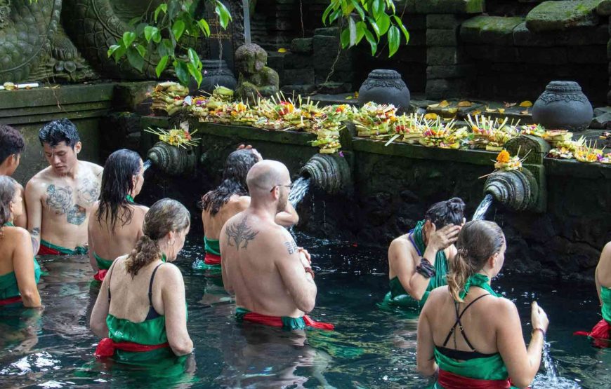 Bali’s Cultural and Natural Enchantment