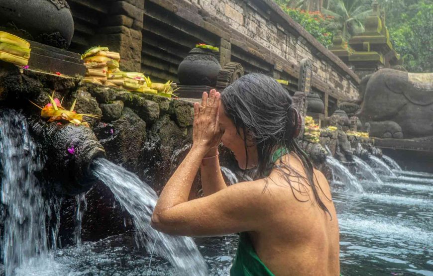 Bali’s Cultural and Natural Enchantment