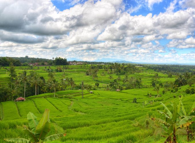 Bali Temple & Rice Terrace : A Full Day Bali Highlight Tours