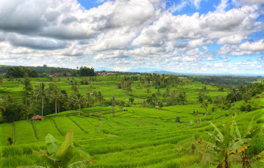 Bali’s Iconic Landscapes, a 72 minutes Iconic Aerial Adventure