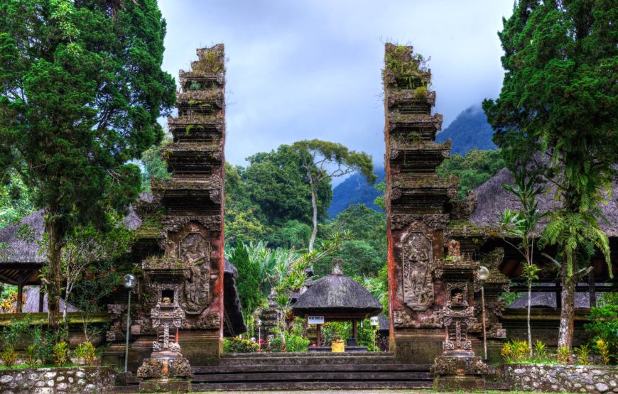 Temple Highlights & Rainforests – Full Day Tour