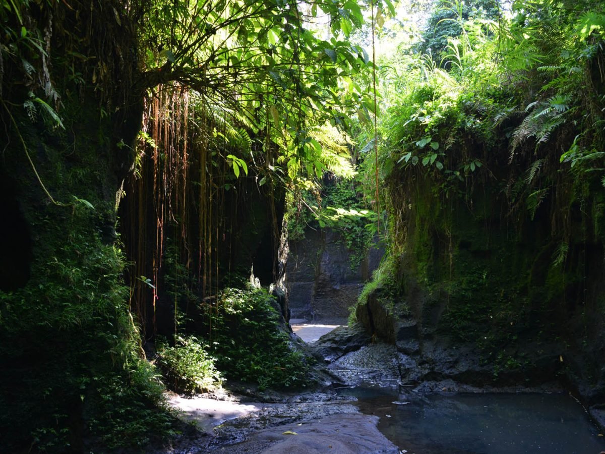 Bali Country Side Land Cruise : Explore Bali Island – 4 WD Bali Jeep Adventure