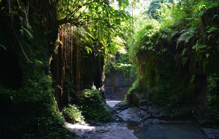 Bali’s Hidden Waterfalls: A Day of Tranquility