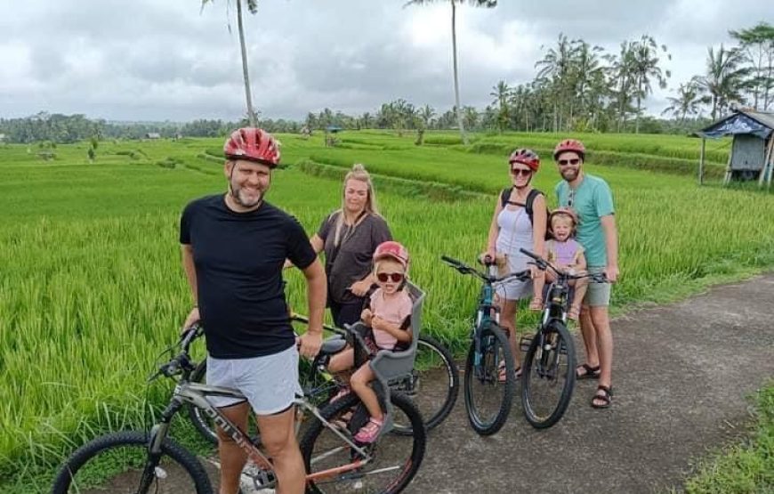 Cycling Tour in Ubud : Cycling through Ubud’s Scenic Landscapes