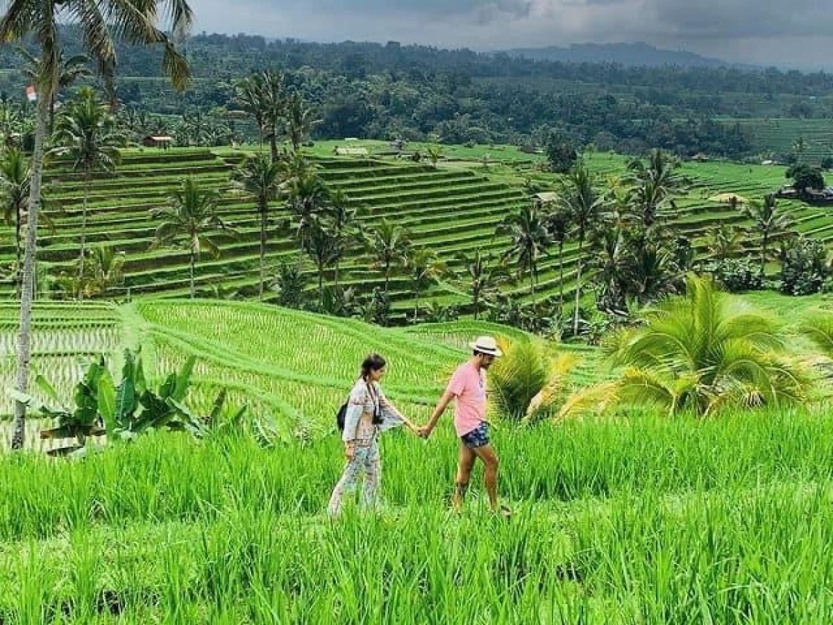 Jatiluwih Rice Terraces (UNESCO Heritage Site)