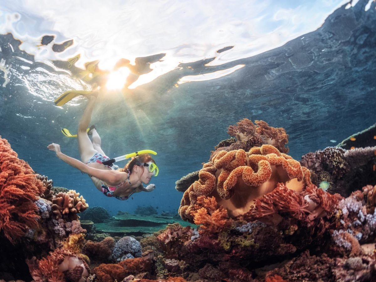 Day 2: Snorkeling & Marine Discovery (B,L)