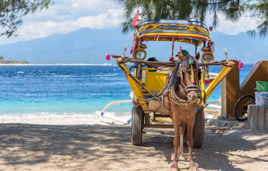 Explore Bali and Gili Highlights