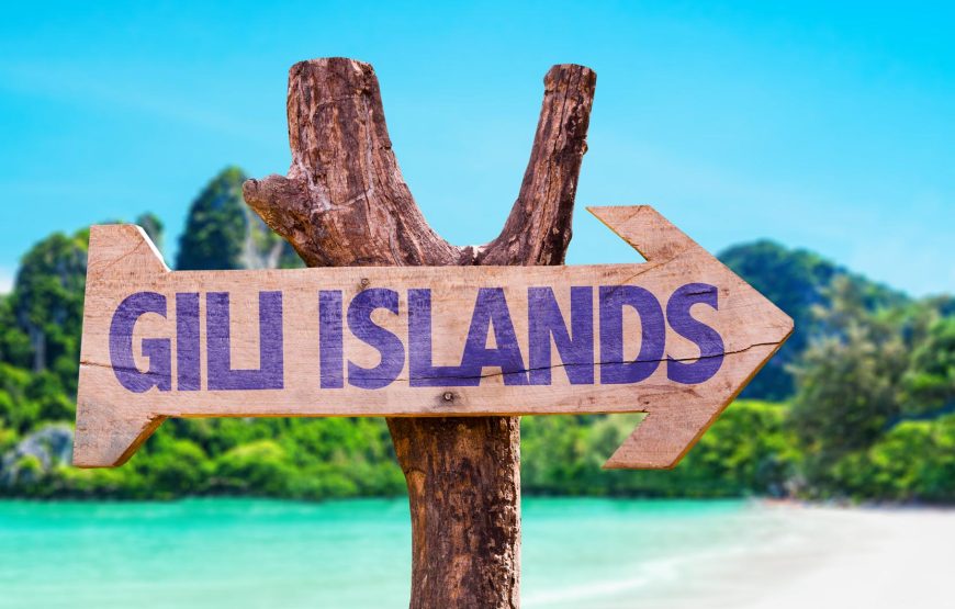 Explore Bali and Gili Highlights